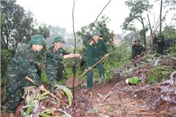 Bộ tư lệnh Quân khu: Trồng mới hơn 1.800 cây lấy gỗ lâu năm